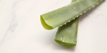 Les meilleurs après-soleils naturels