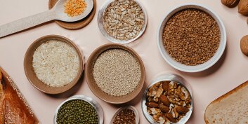 La vitamine B : un allié du métabolisme des cellules