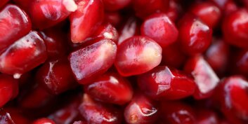 La vitamine K : essentielle pour la santé des os