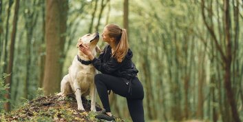 3 exercices physiques pour les animaux 