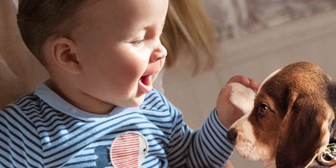 Il faudra plusieurs années pour que le système immunitaire de votre enfant arrive à maturité