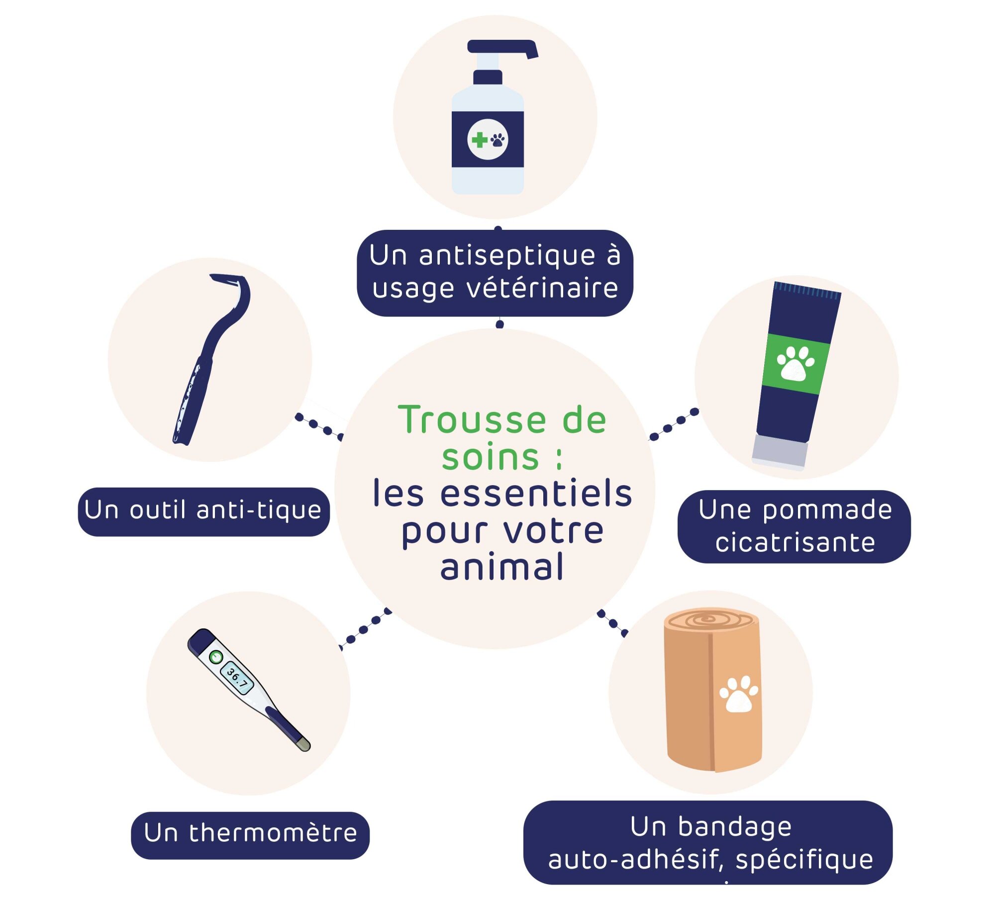 Nos astuces pour prendre soin de votre animal de compagnie au quotidien - Pharmacie en ligne - 9