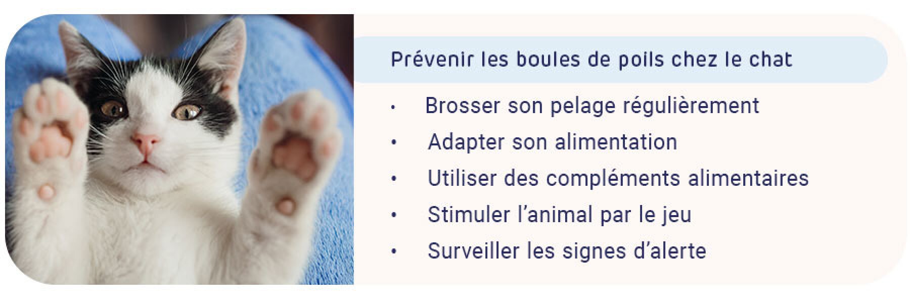 Nos astuces pour prendre soin de votre animal de compagnie au quotidien - Pharmacie en ligne - 10