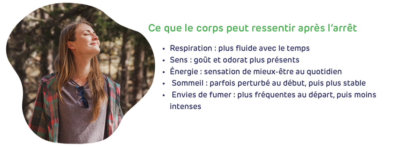 Sevrage tabagique : comprendre, accompagner et réussir l’arrêt du tabac ...
