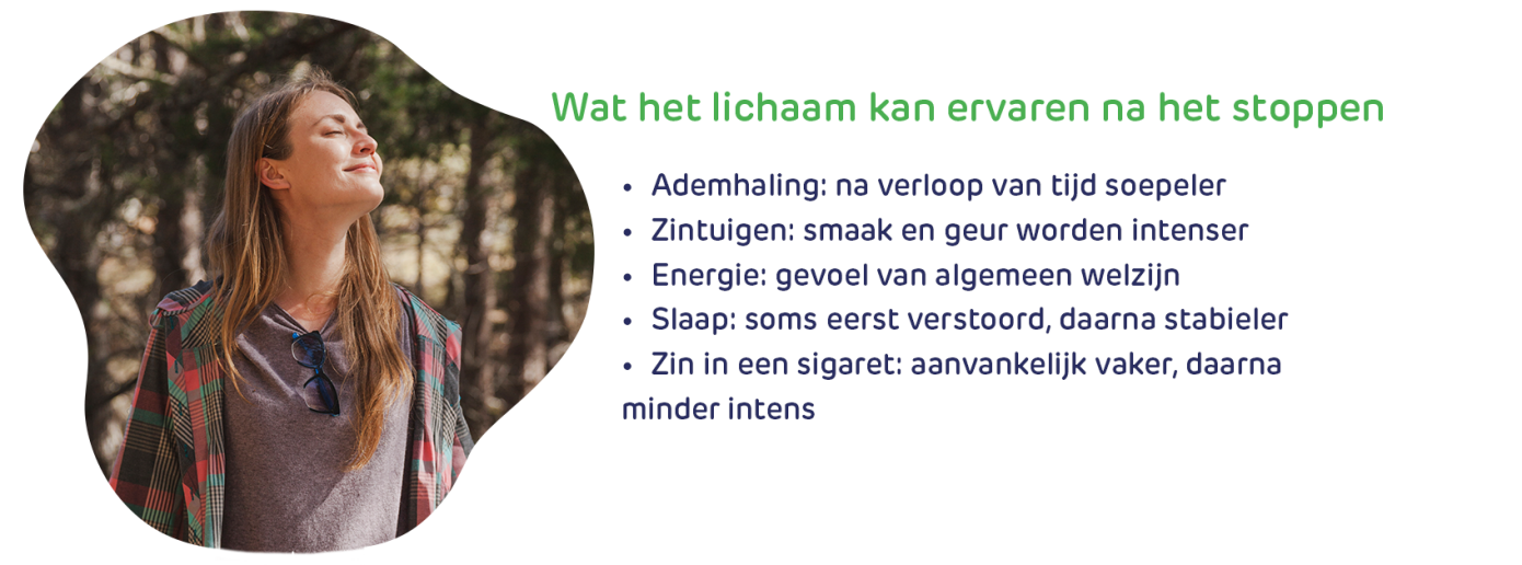 Stoppen Roken Stoppen met roken: begrijpen, begeleiden en succesvol stoppen |Newpharma