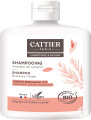 Cattier Rosmarin Essig Shampoo Fettiges Haar Flasche 250ml