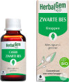Herbalgem Schwarze Johannisbeere Konzentriertes Muttermazerat Bio 30ml