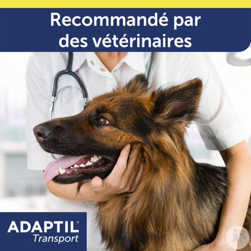 Adaptil Transport Hunde Spray 20ml-8