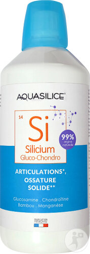 Aquasilice Silicium Buvable Glucosamine Chondroitin Gelenke Knochenstärke Flasche 1l