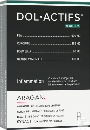 Aragan Synactifs Dolactifs Entzündung Kurkuma 20 Kapseln