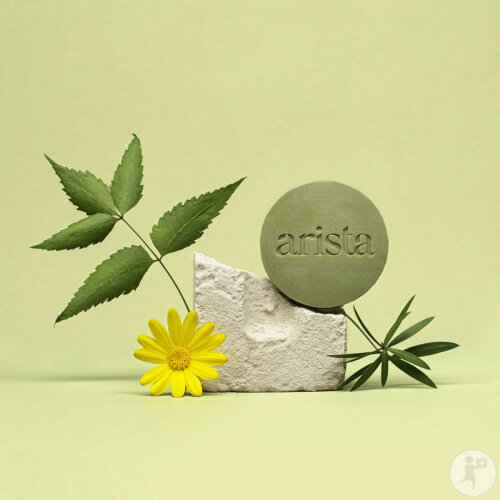 Arista Ayurveda Festes Shampoo Anti Schuppen 80g-2
