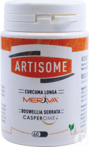 Artisome Kapseln 60x1000mg