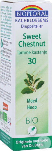 Biofloral Bachblüten 30 Edelkastanie Mut Und Hoffnung Bio 20ml