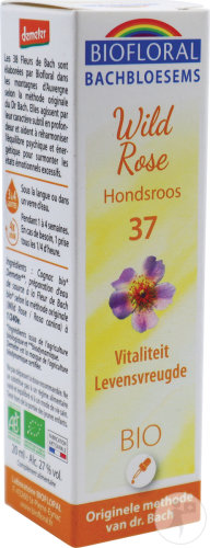 Biofloral Bachblüten 37 Hagebutte Vitalität Und Lebensfreude Bio 20ml