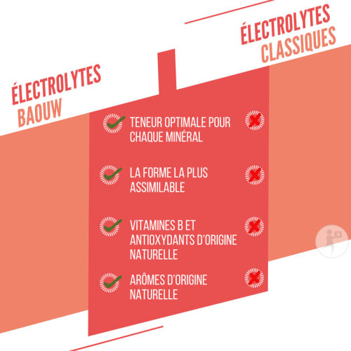 Baouw Elektrolyt Tabletten Pfirsich Passionsfrucht 10 Stück-6