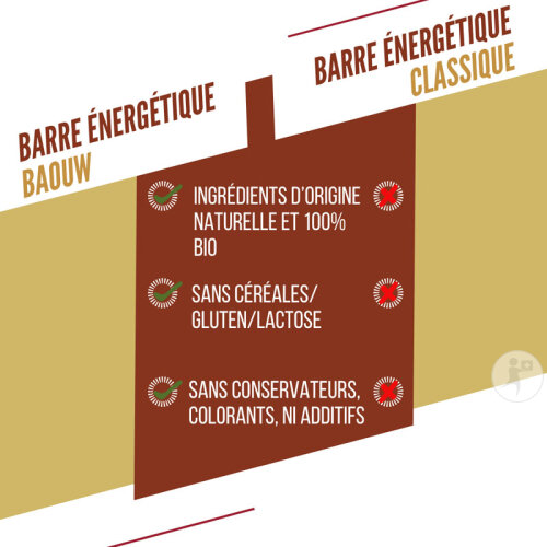 Baouw Energieriegel Bio Vanille Macadamia 12x50g-6