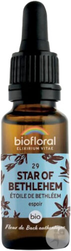 Biofloral 29 Star Of Bethlehem Fleur De Bach Tropfflasche Bio Demeter 20ml
