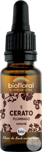 Biofloral Bachblüten 05 Cerato Plumbago Kraft Und Willensstärke Bio 20ml