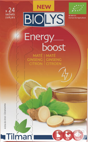 Biolys Energy Boost Maté/Ginseng/Zitrone 24 Beutel