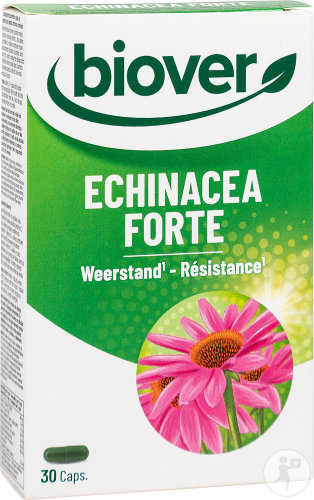 Biover Echinacea Forte Widerstand 30 Kapseln