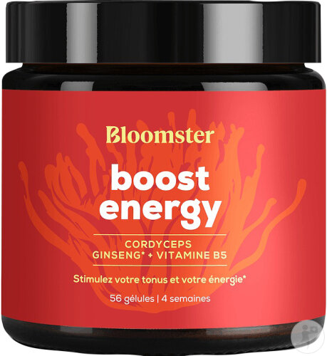Bloomster Boost Energy 56 Kapseln