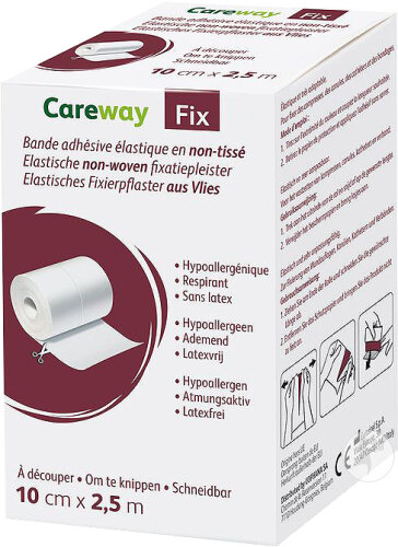 Careway 2 Fixierpflaster N/Vlies 10cmx2,5m