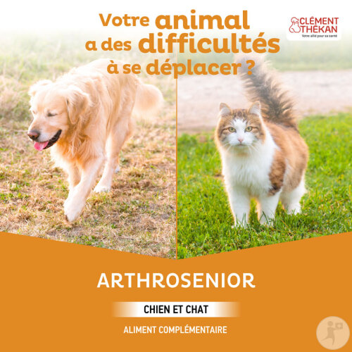 Clément Thékan Arthrosenior/Lindert Schmerzen Bei Arthrose Bei Hund Und Katze 60ml-2