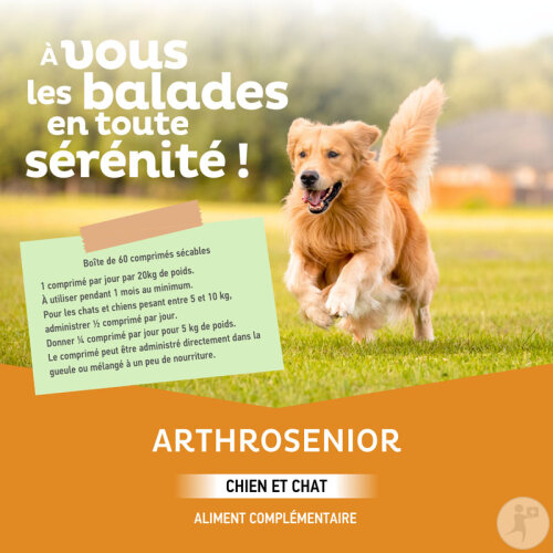 Clément Thékan Arthrosenior/Lindert Schmerzen Bei Arthrose Bei Hund Und Katze 60ml-4