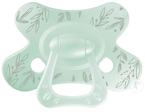 Difrax Natural Schnuller 18 Monate+ Mint Leafs 1 Stück (803B34)