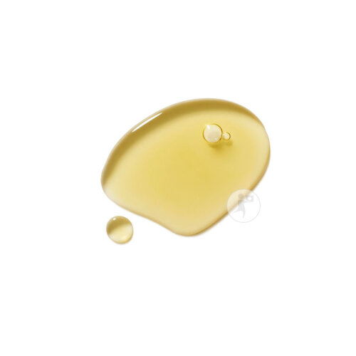 Dr. Hauschka Beintonikum 100ml-2