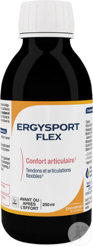 Ergysport Flex Gelenkkomfort Flakon 250ml