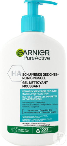 Garnier PureActive Feuchtigkeitsspendender Deep Cleanser Pumpflasche 250ml