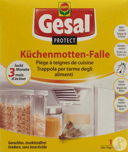 Gesal Protect Küchenmotten-Falle Geruchlos Insektizidfrei 1 Stück