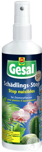 Gesal Schädlings-Stop Für Zimmerpflanzen Pumpsprayflasche 250ml