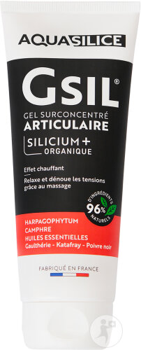 GSIL Gel Surconcentrate Articular Silicium Tube 200ml