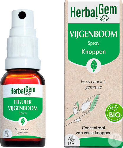 HerbalGem Feigenbaum Konzentrierte Muttermazerate Bio Spray 15ml