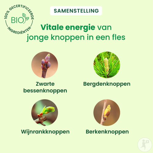 Herbalgem Gelenke Komplex Artigem GC02 Bio 30ml-4