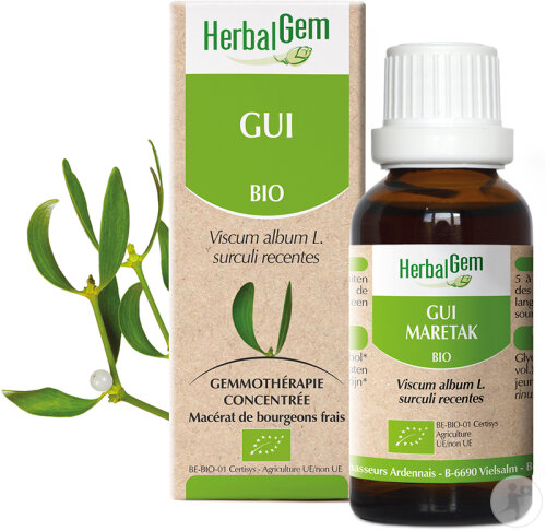 Herbalgem Mistel Konzentriertes Muttermazerat Bio Flasche 30ml