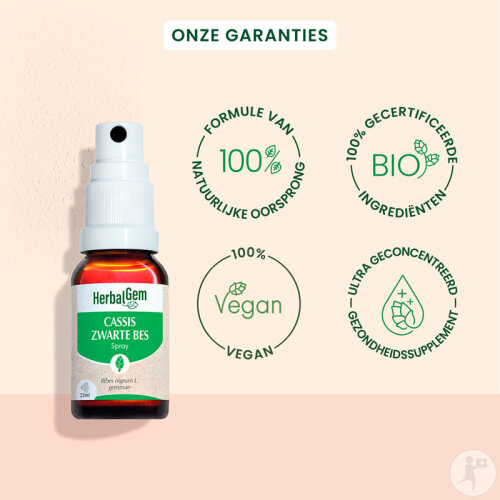 HerbalGem Schwarze Johannisbeere Konzentrierte Muttermazerate Bio Spray 15ml-2