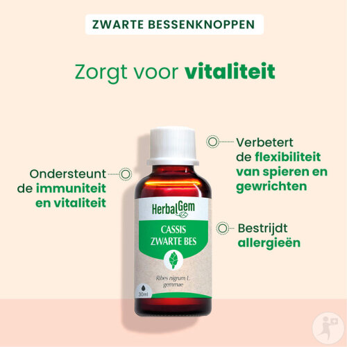 Herbalgem Schwarze Johannisbeere Konzentriertes Muttermazerat Bio 30ml-2