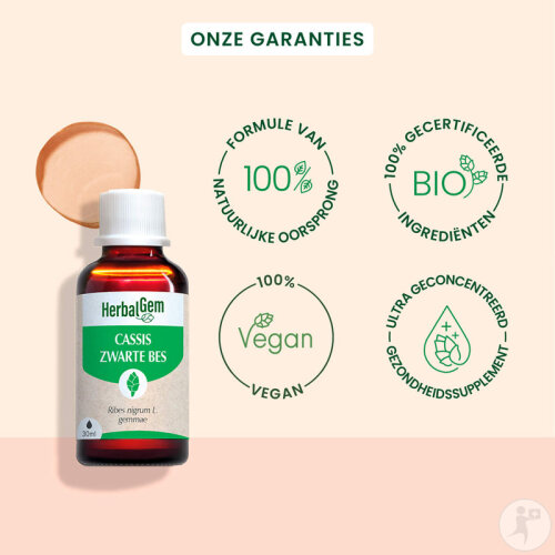 Herbalgem Schwarze Johannisbeere Konzentriertes Muttermazerat Bio 30ml-3