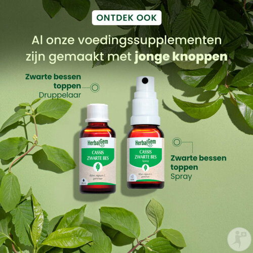 Herbalgem Schwarze Johannisbeere Konzentriertes Muttermazerat Bio 30ml-6