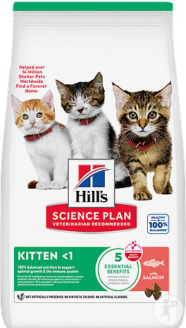 Hill's Science Plan Kitten Trockenfutter Für Kätzchen Mit Lachs 1,5kg