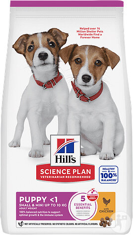 Hill's Science Plan Puppy Small & Mini Trockenfutter Für Kleine Welpen Mit Huhn 6kg