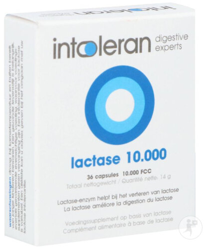 Intoleran Lactase 10000 FCC 36 Kapseln