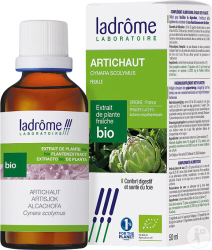 Ladrôme Artischocke Bio-Extrakt Flasche 50ml