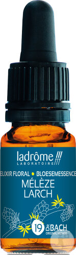 Ladrôme Europäische Lärche Nr.19 10ml