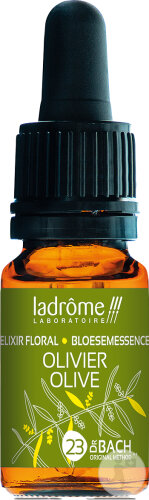 Ladrôme Olivenbaum N°23 10ml