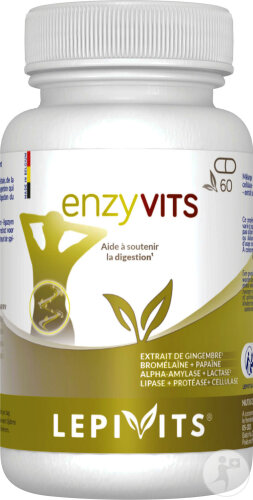 Lepivits Enzyvits Verdauung 60 Kapseln