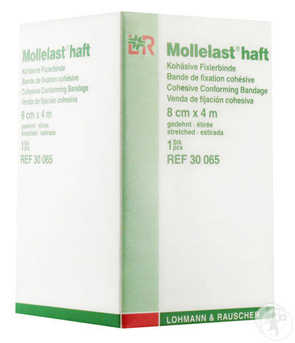 Lohmann & Rauscher Mollelast Haft Latexfreie Kohäsive Fixierbinde 4m x 8cm Stück 1 (30065)